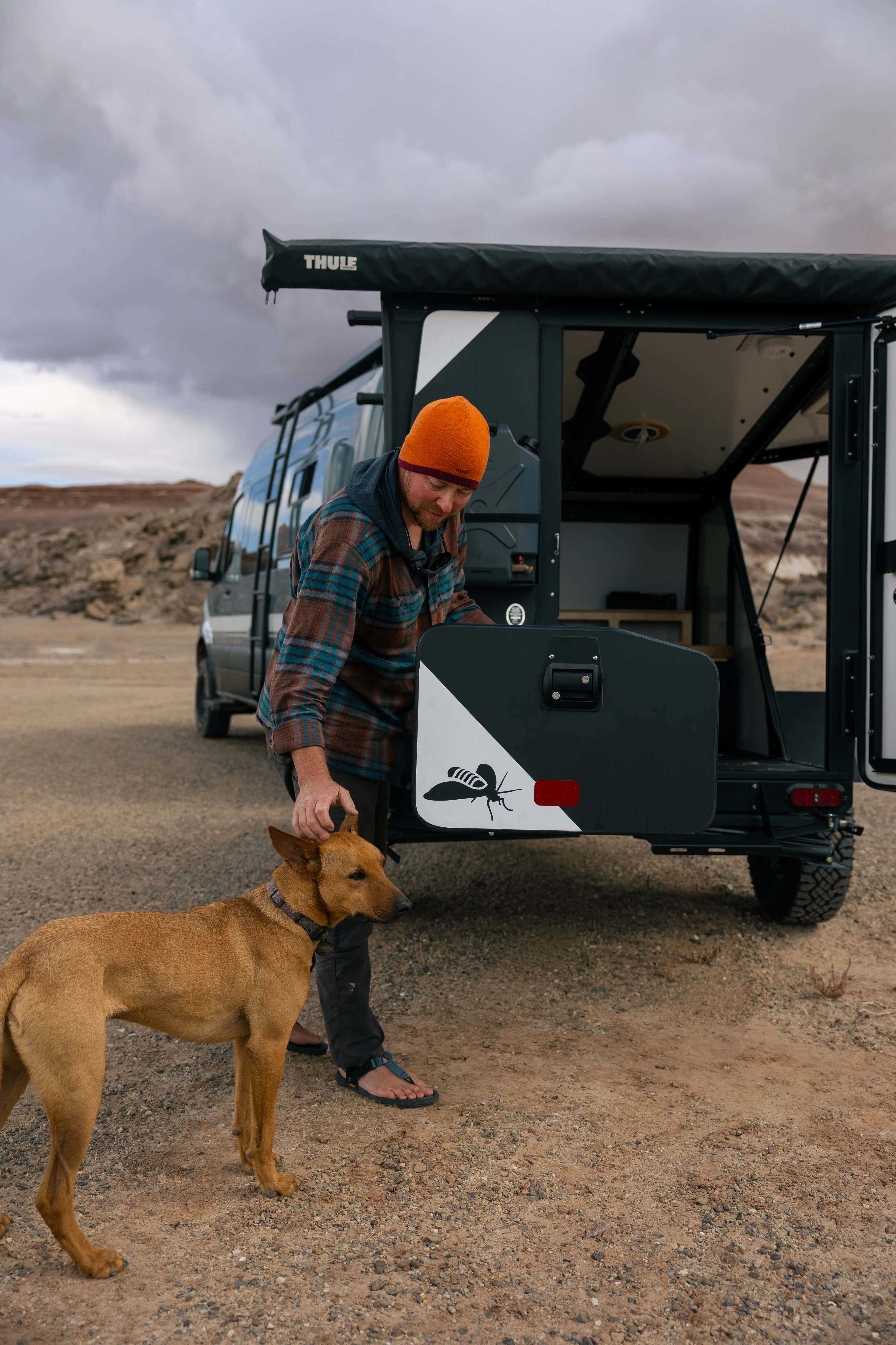 TigerMoth X - Image 17