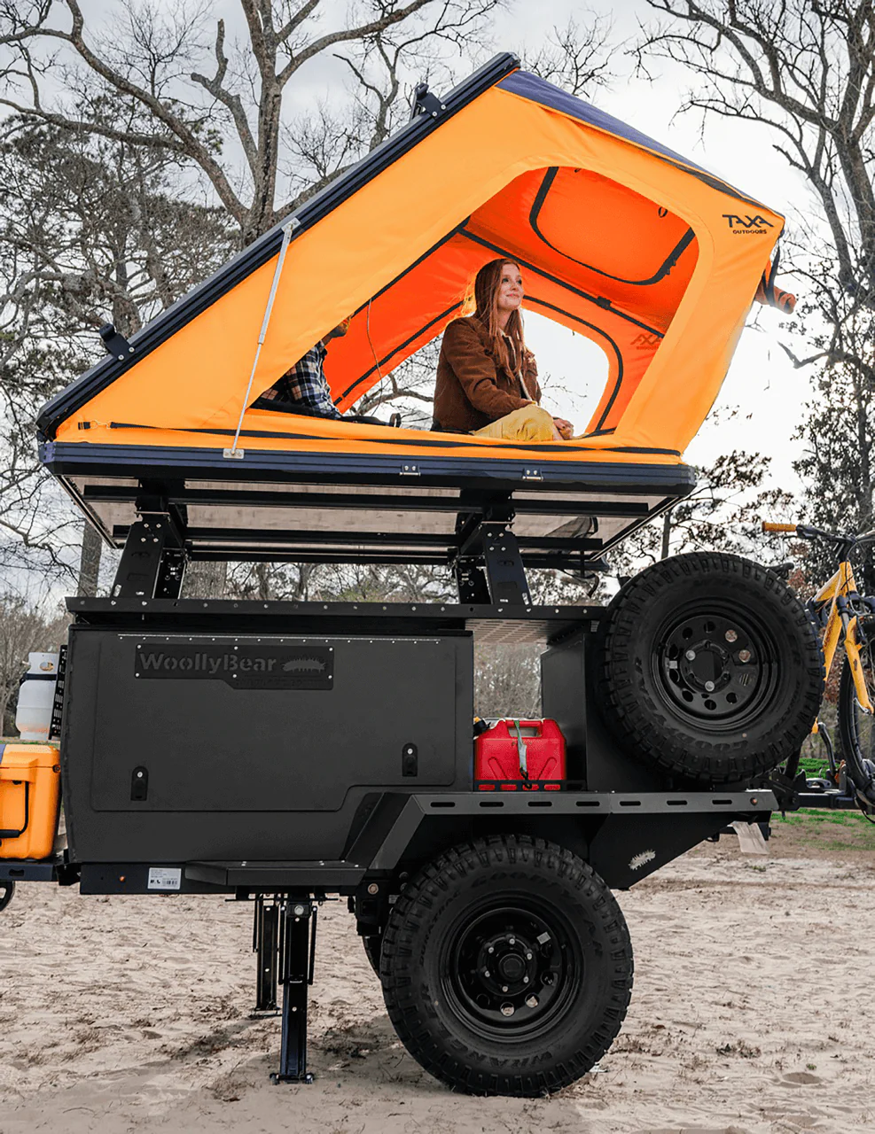 Woolly Bear - Image 9